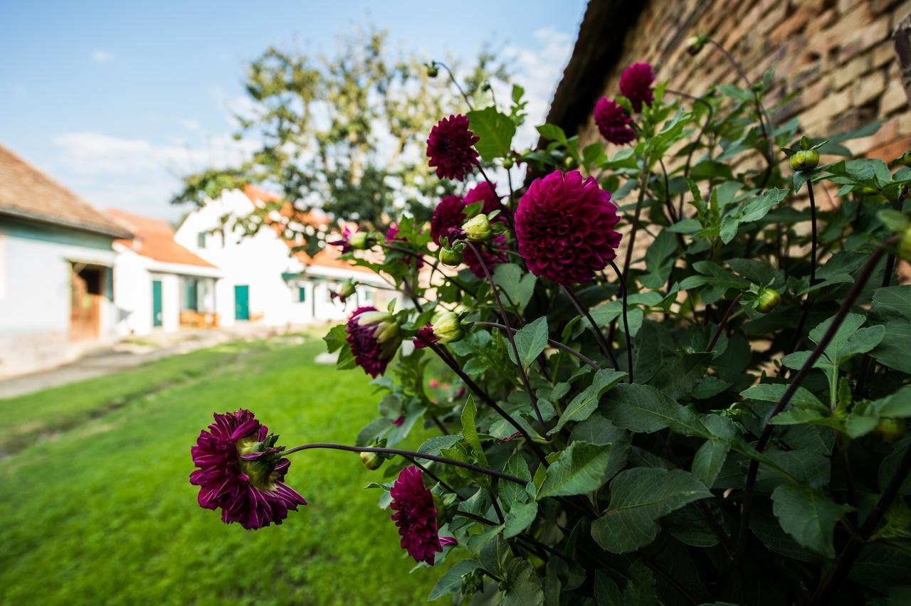 Cloasterf Haus Bed & Breakfast Exterior photo